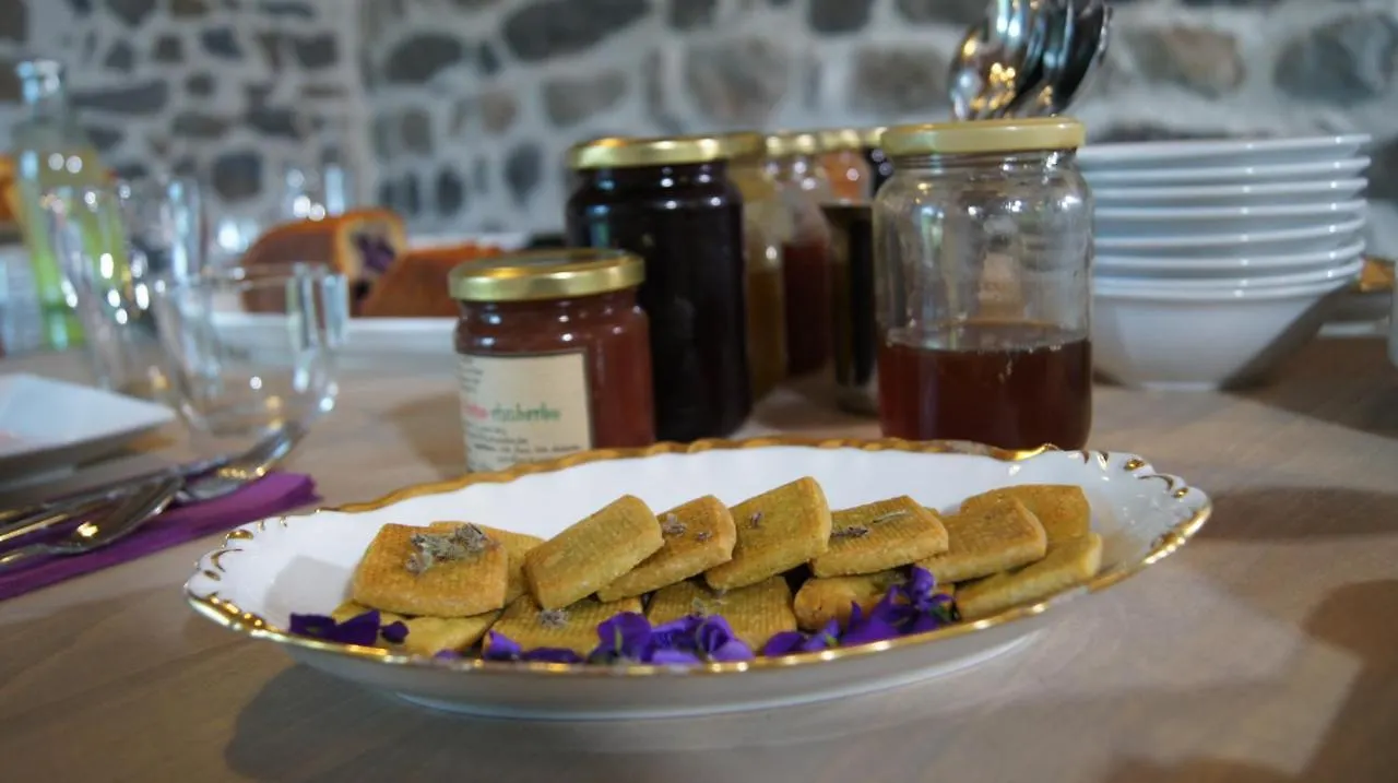 Domaine De La Planche De Melussac Bed and Breakfast Cussac-sur-Loire Bed & Breakfast