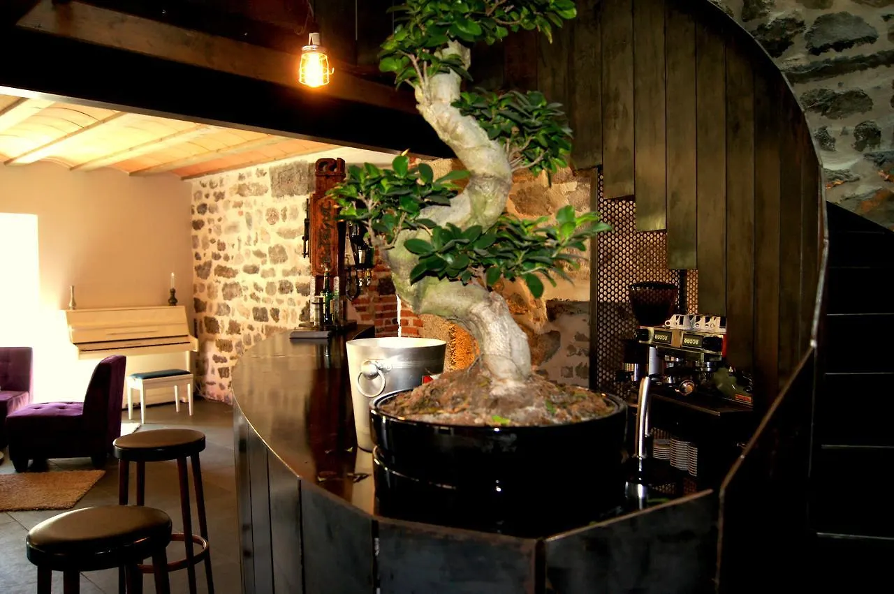 Domaine De La Planche De Melussac Bed and Breakfast Cussac-sur-Loire